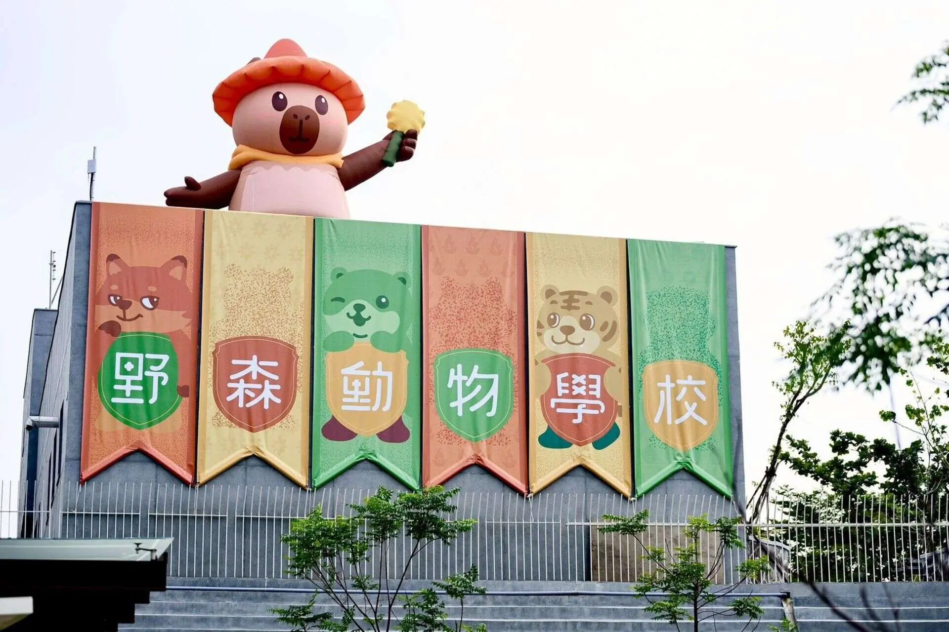 內門野森動物學校