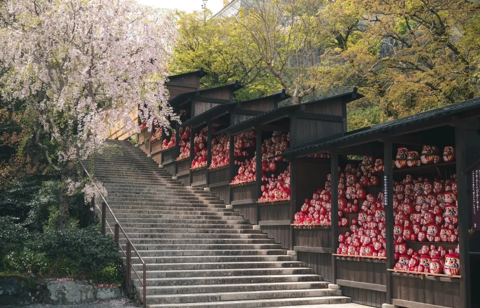 【日本關西】暑假限定優惠・京奈阪・奈良小鹿・達摩勝尾寺・祇園・一天自由日｜無購物站