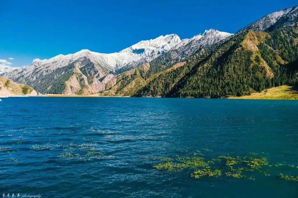 大小龍池