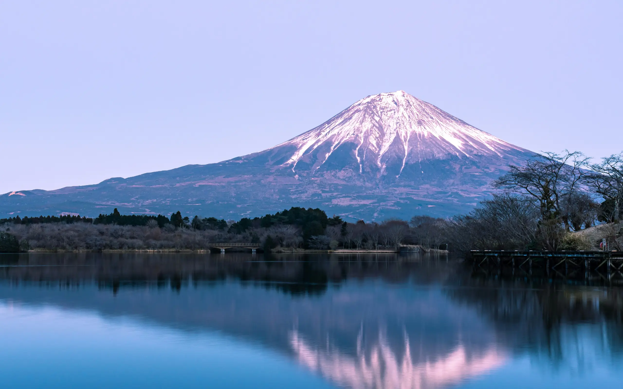 【日本東京】富士山・暑假親子遊・夢幻薰衣草．大石公園．迪士尼．箱根蘆之湖遊船．忍野八海｜全程無自理餐