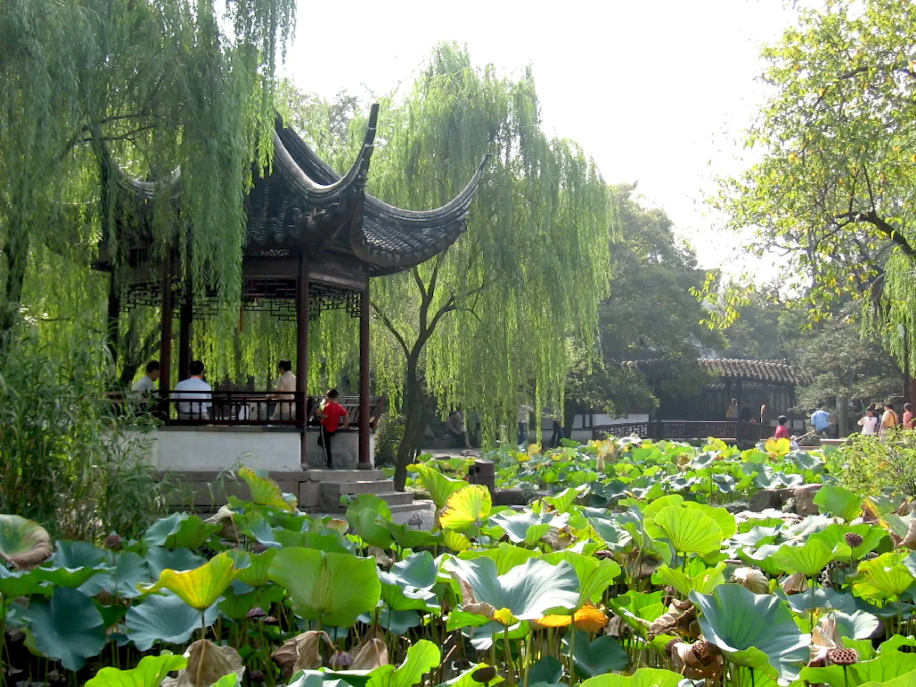 拙政園