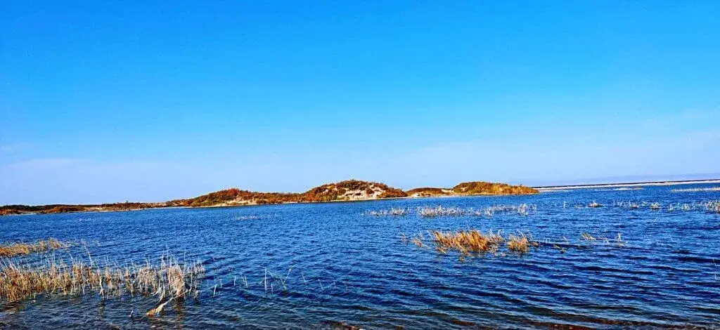 烏倫古湖