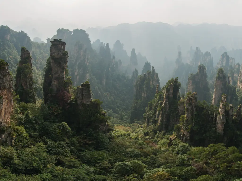 【張家界】仙境阿凡達．天門山百龍天梯上雲端、鳳凰古城．芙蓉鎮｜無購物