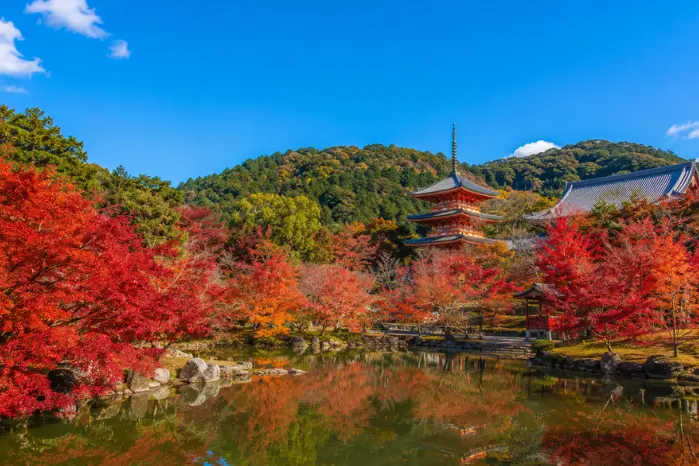 醍醐寺