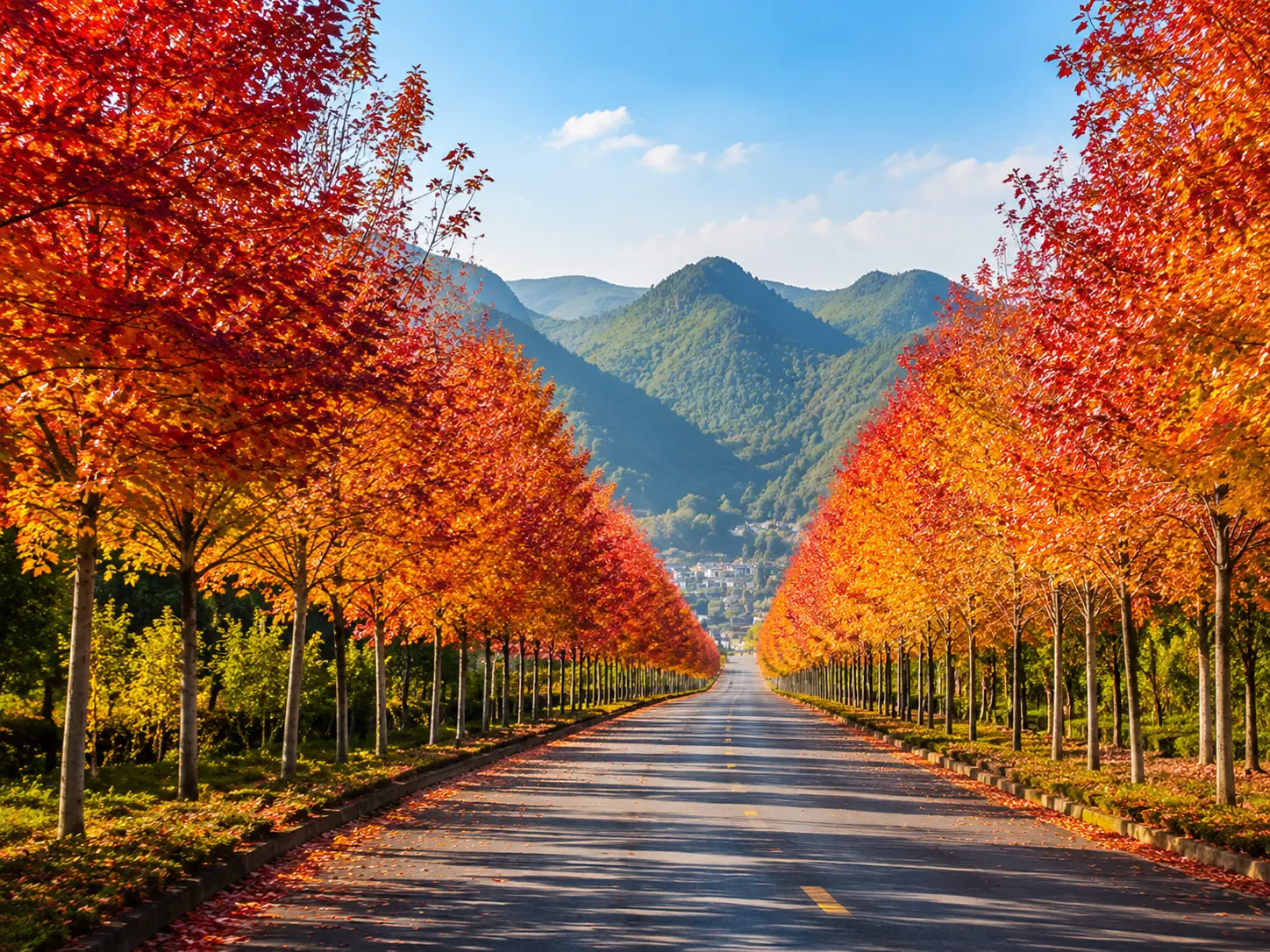 【貴州】銀杏紅楓限定・妥樂古銀杏村・陽光谷紅楓大道・馬嶺河峽谷・黃果樹大瀑布・360度球幕影院｜無購物 