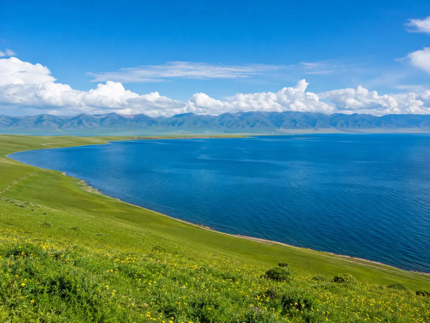 青海湖