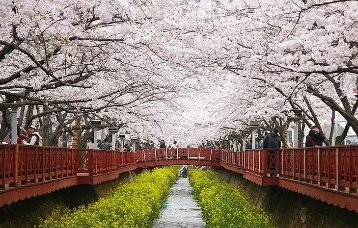 余佐川羅曼史橋.