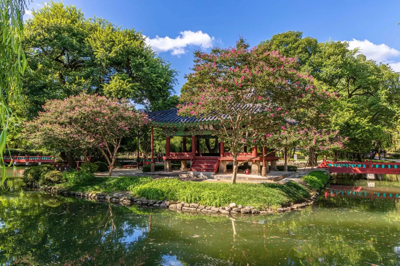  傳燈寺・古寺百日紅