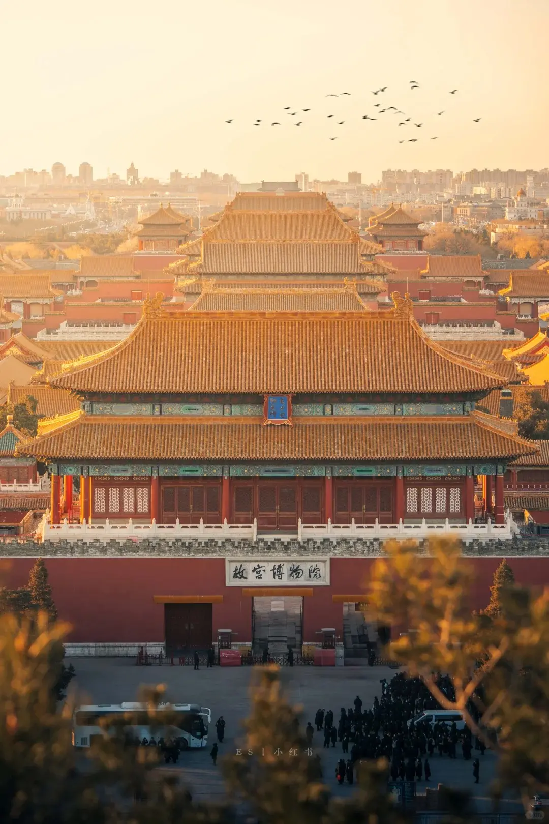 【北京】長榮直飛・雙長城・帝都風華・故宮紫禁宮殿之最・古北水鎮溫泉月光與皇城｜文化考察交流團、無購物