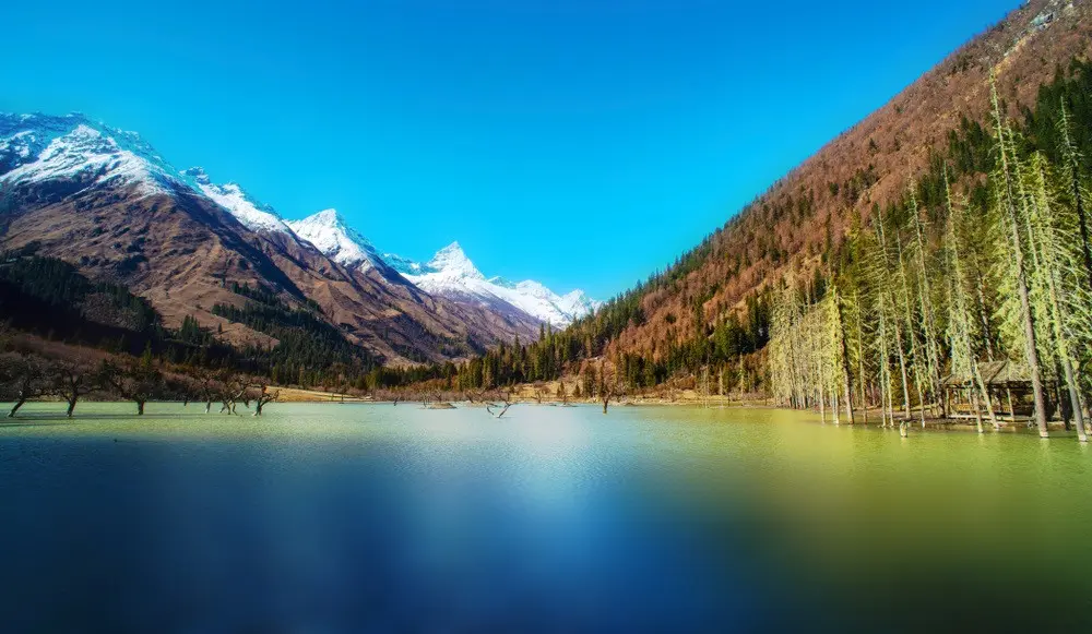 四姑娘山長坪溝