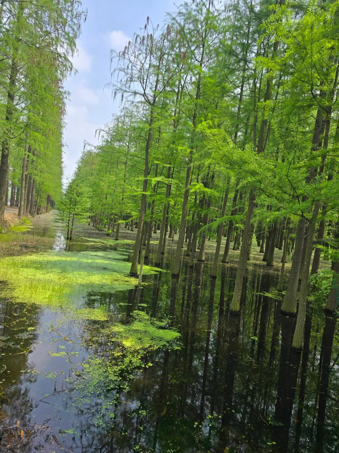 常德柳葉湖張家界