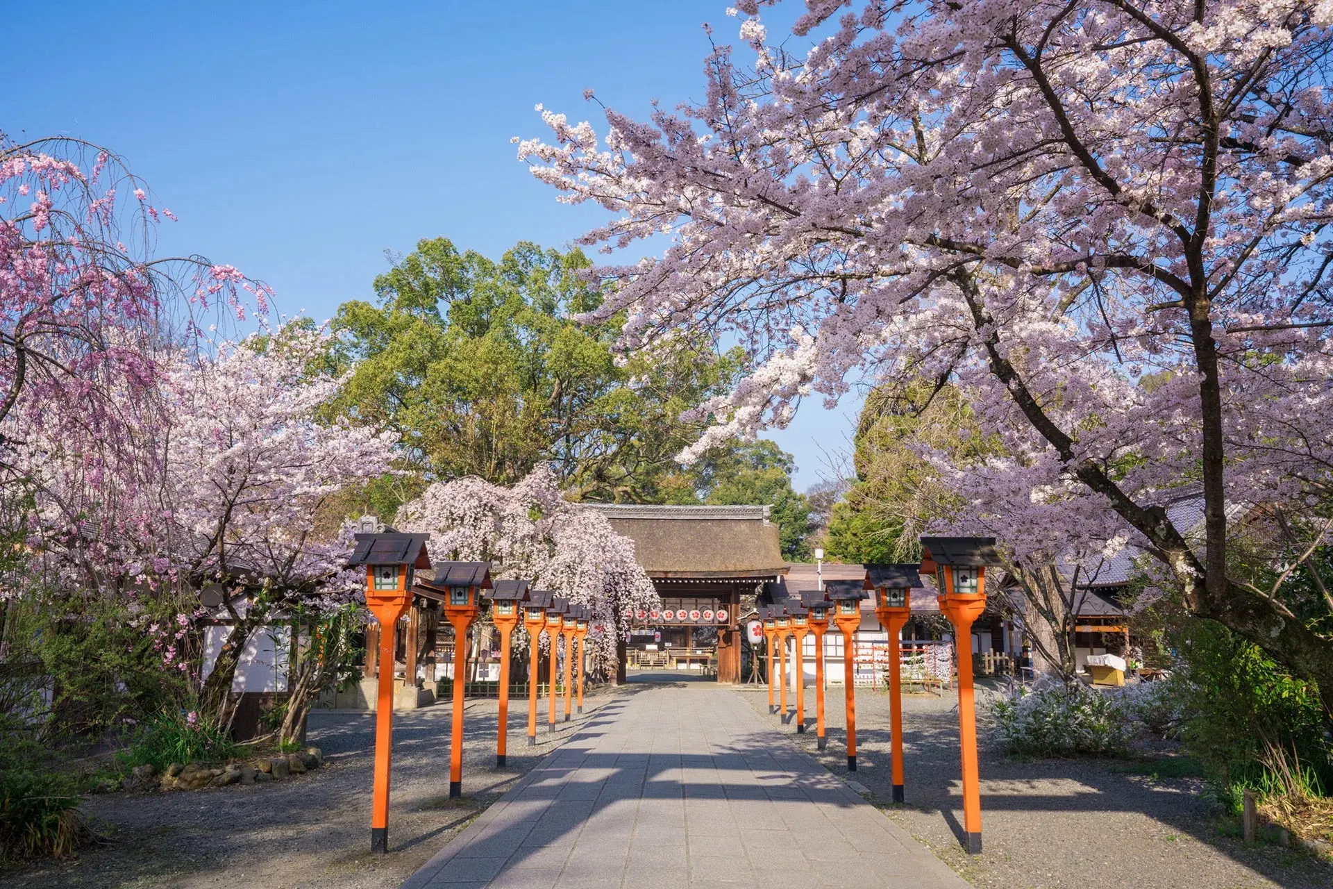 平野神社