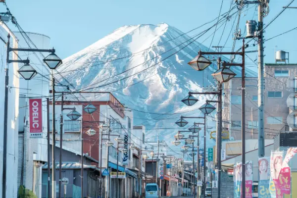 【東京・富士山】暑假親子遊・薰衣草夢幻邂逅．大石公園．迪士尼．箱根蘆之湖遊船．忍野八海｜全程無自理餐 