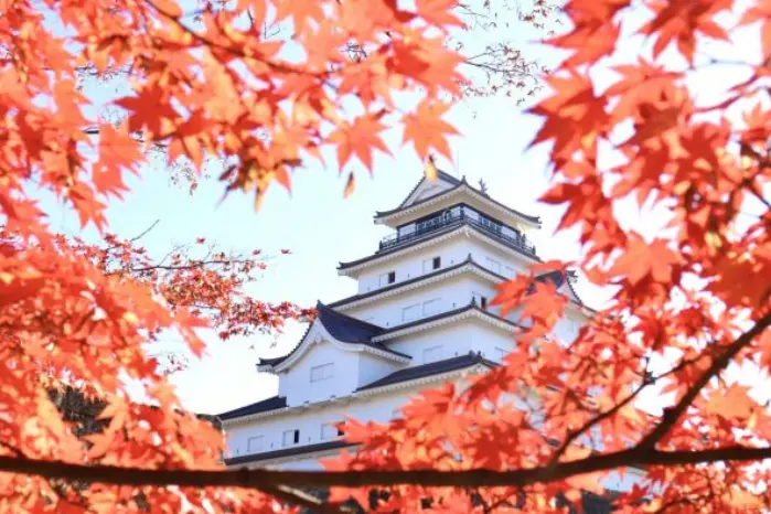 東北會津若松城楓葉