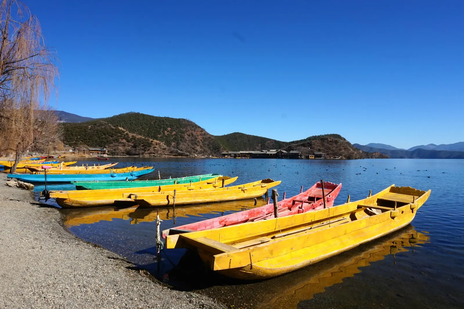豬槽船(獨木舟)遊湖