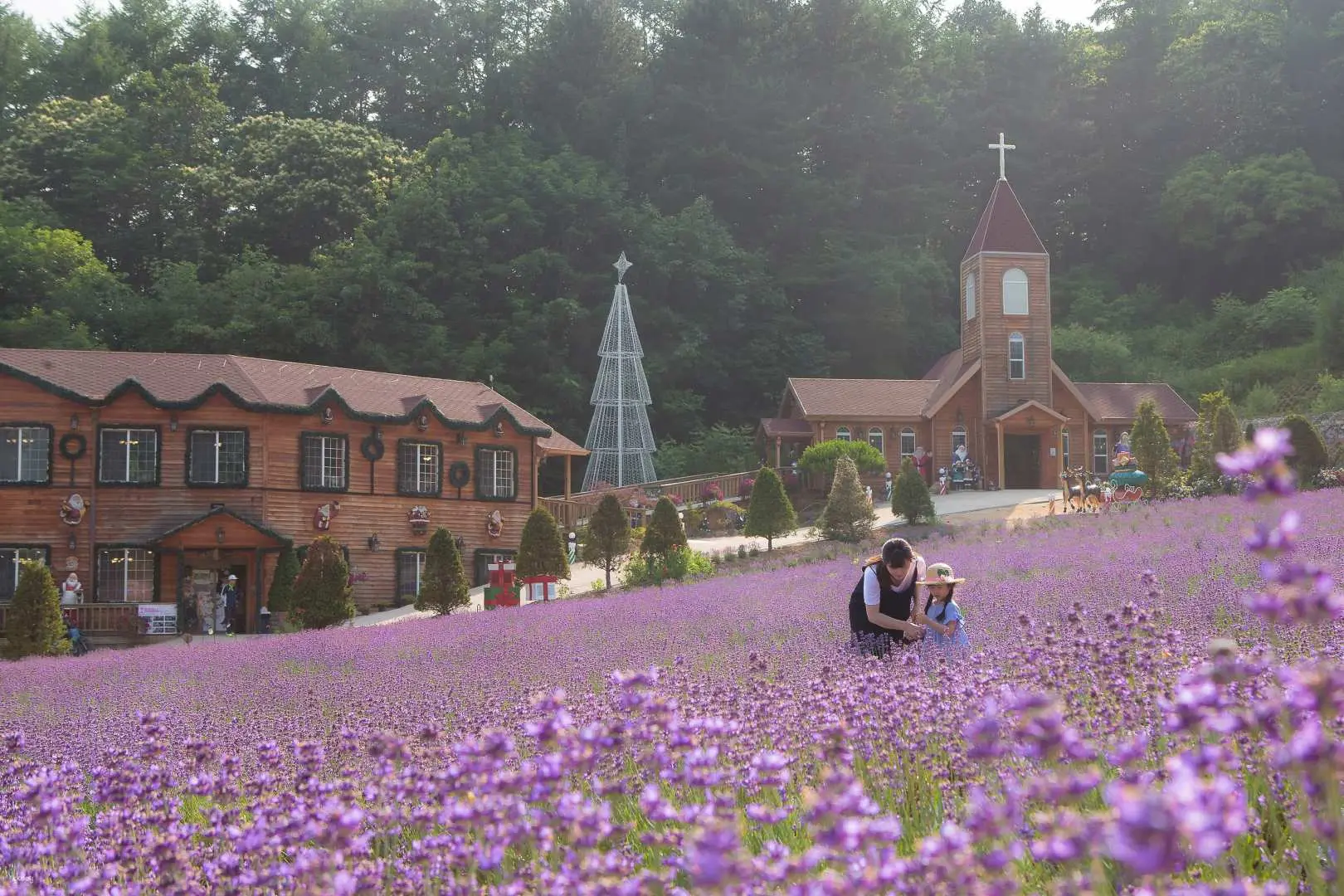 【韓國首爾】端午・薰衣草花海．鴿子囊瀑布・抱川藝術谷・愛妓峰星巴克望北韓・月尾島海鷗船｜全程無自理餐